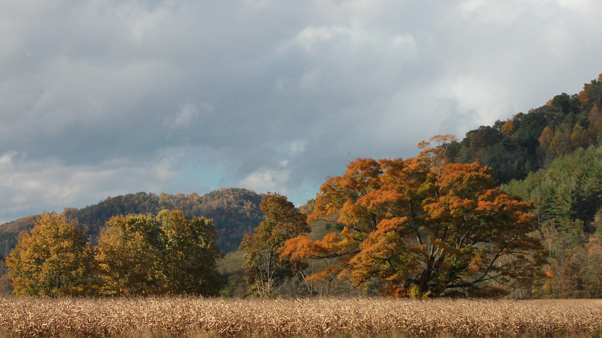 Valle Crucis, North Carolina