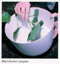 Beat-bucket sampler