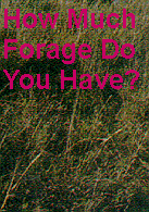 How Much Forage Do You Have?