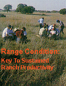 Range Condition: Key To Sustained Ranch Productivity