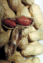 Peanut shells, with one split open revealing two seeds with their brown seed coats