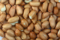 Shelled Peanuts with skin