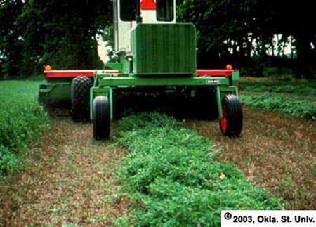 Self-Propelled Swather